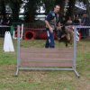 foire-haricots 2011-09-17et18